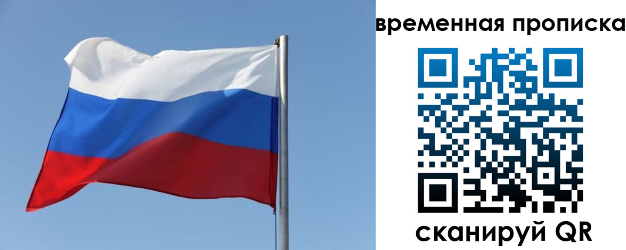 где прописаться в Нелидово